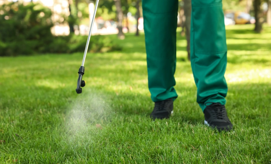 professional lawn care vs diy elkhart indiana