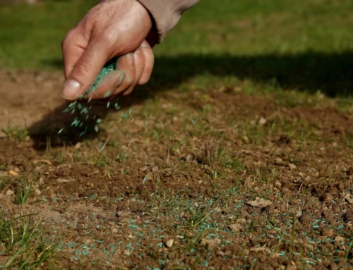 What to Expect From a Professional Lawn Treatment Program in Northern Indiana