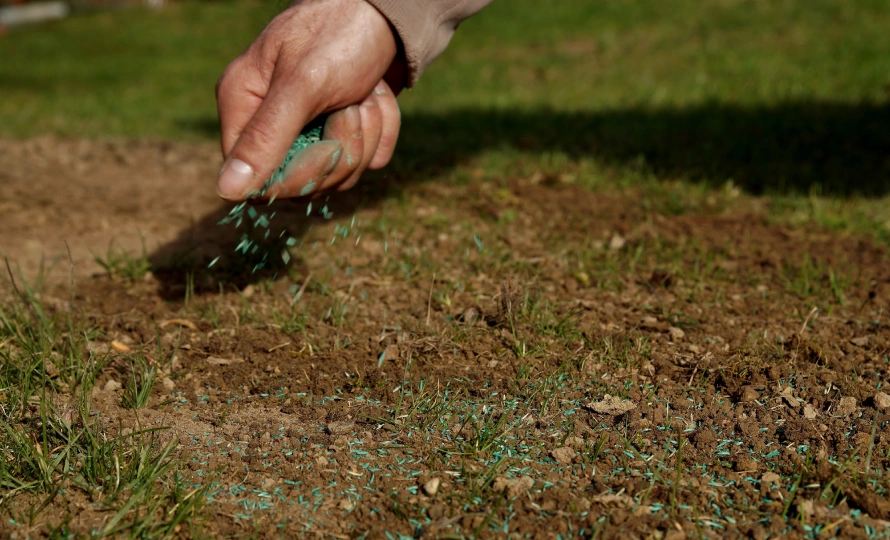 professional lawn treatment program northern indiana