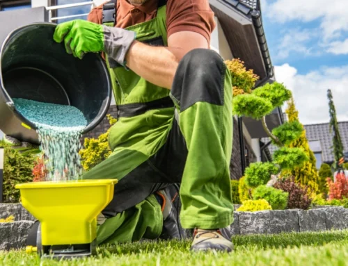 How Many Times a Year Should You Fertilize Your Lawn in Indiana?