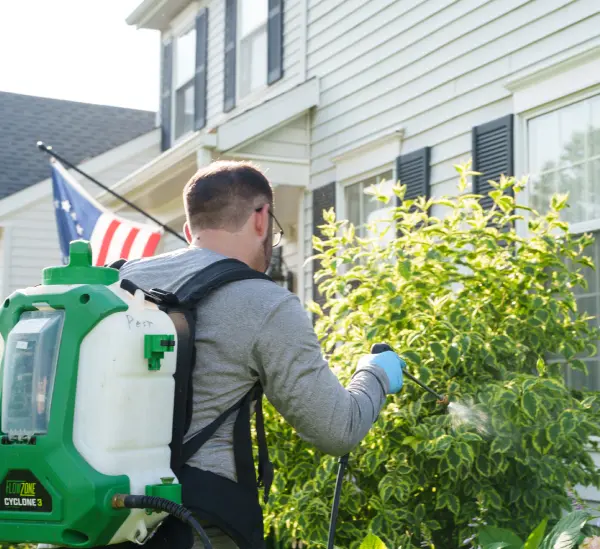 professional lawn care in Edwardsburg Michigan