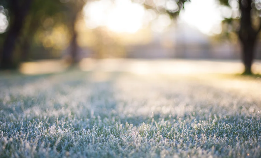 freeze-thaw cycle for elkhart’s lawn roots