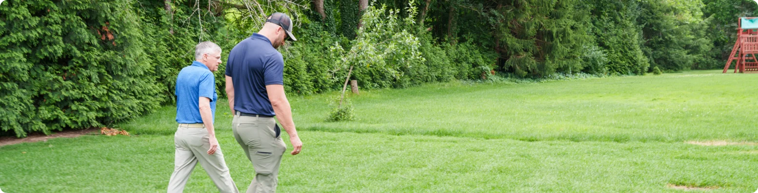 Aeration and overseeding for a healthier lawn