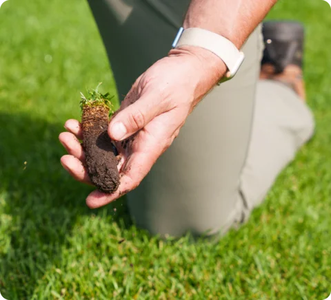Lawn aeration services throughout Michiana