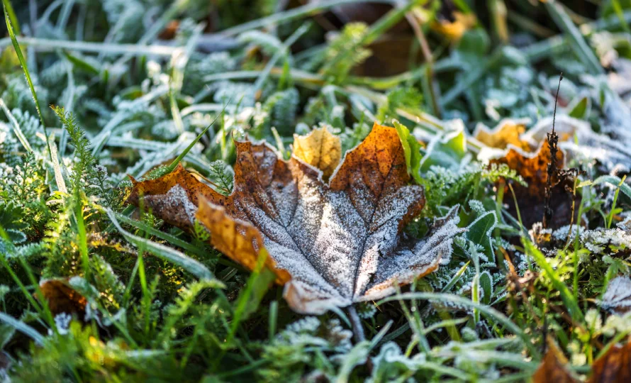 lawn care checklist for elkhart county homeowners
