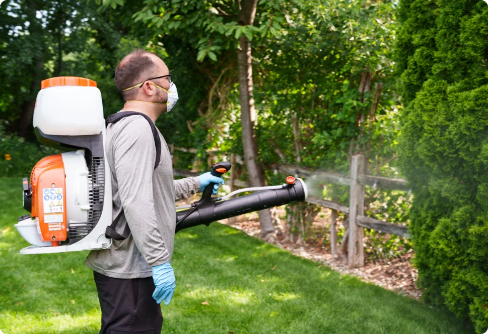 professional lawn care in Edwardsburg Michigan