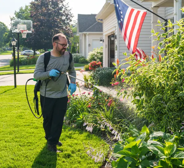 professional lawn care in Edwardsburg Michigan