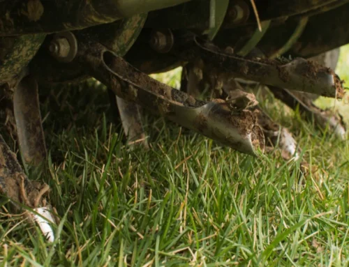 Aeration + Winterizing: The One-Two Punch for a Healthier Spring Lawn