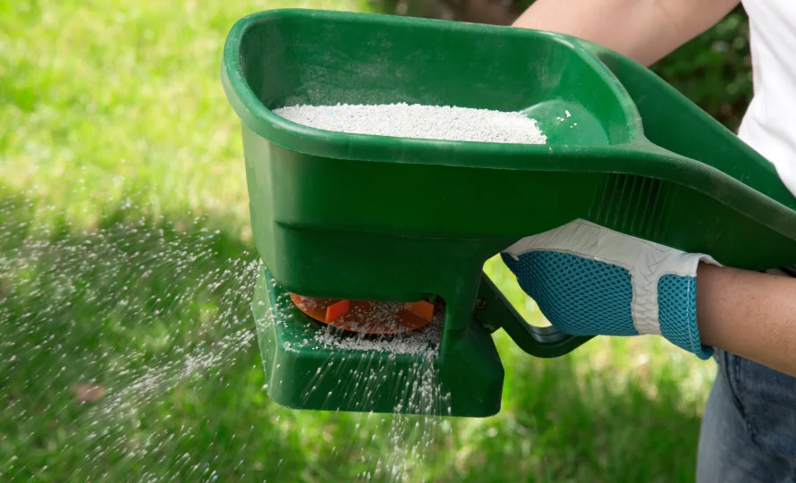 lawn needs fertilizer northern indiana
