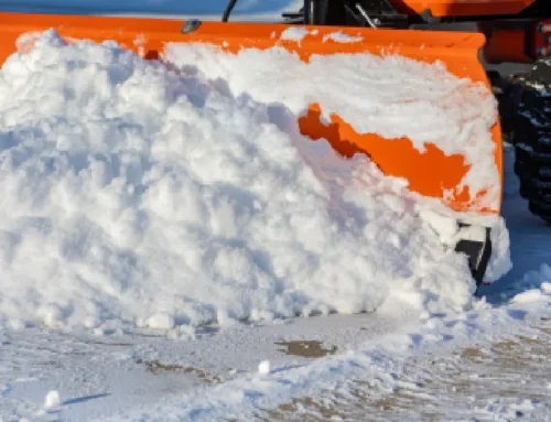 What Northern Indiana Homeowners Get Wrong About Winter Lawn Care